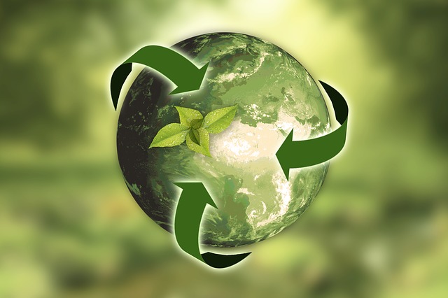 reducing, reusing and recycling