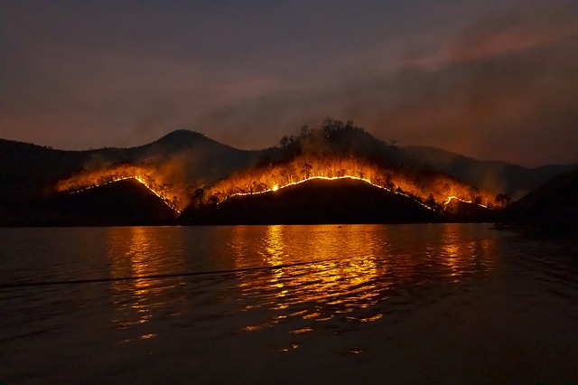 bushfires, wildfires forest fires