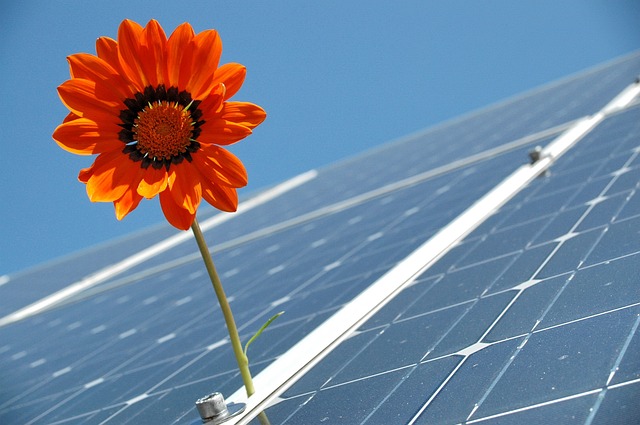 Developing nation Pakistan needs more solar panels