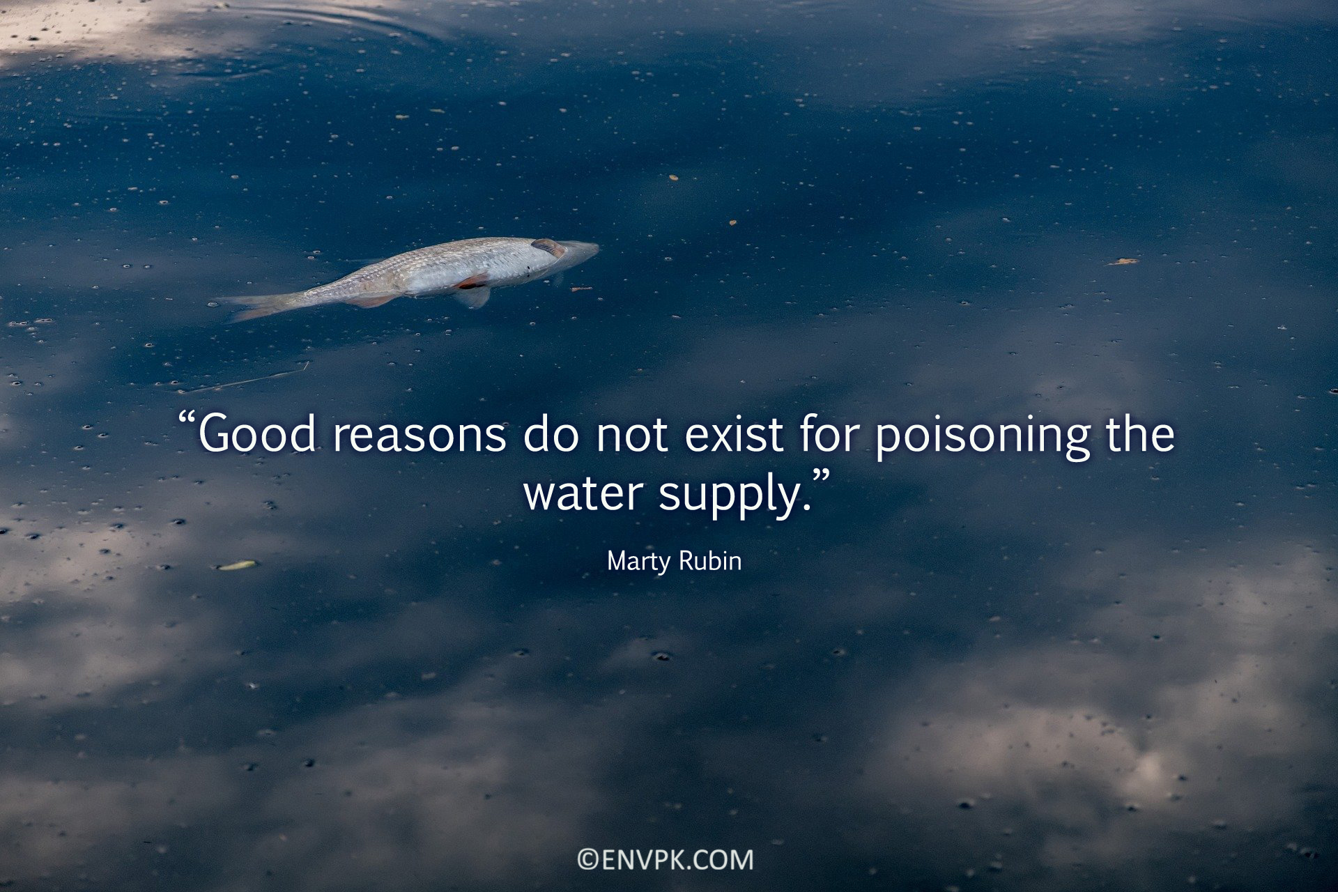 10 Environmental Pollution Quotes Wallpaper Pictures
