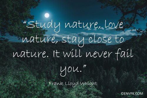 Latest-new-quotes-wallpaper-display-pictures-nature-environment