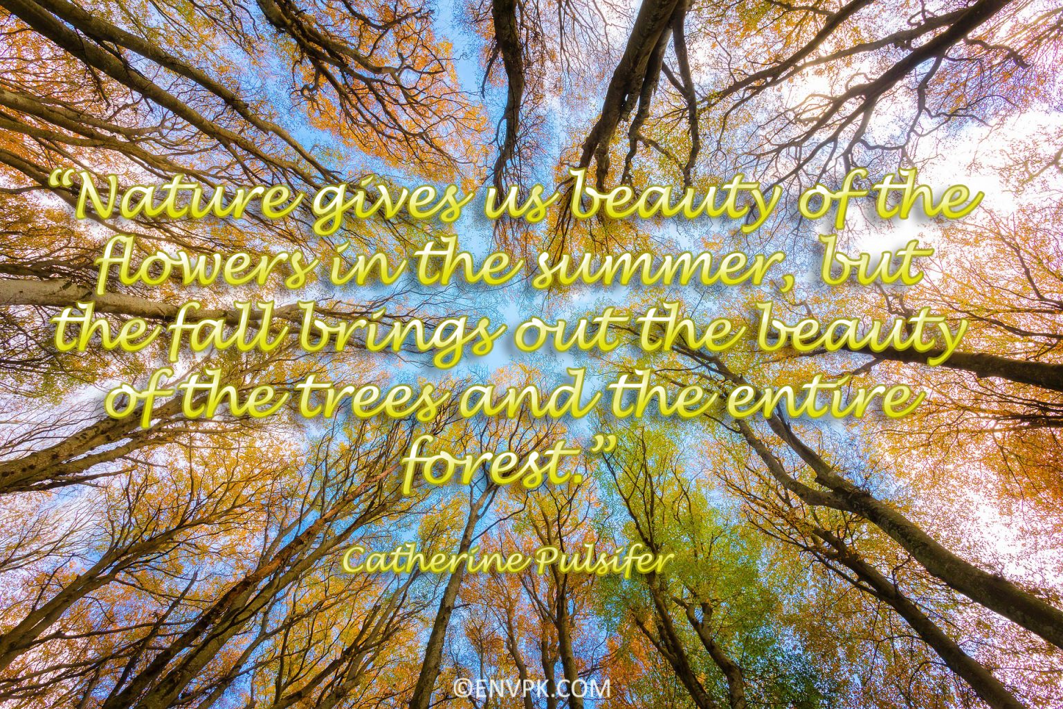 10 Beautiful Nature Quotes Wallpaper Pictures