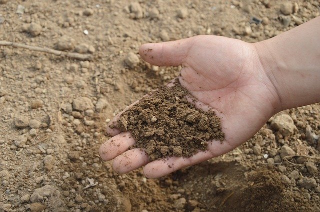 sampling techniques evaluate soil and water quality