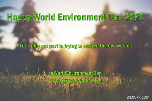 Happy-World-Environment-Day-2021-Ecosystem-Restoration-Display-Pictures-Wallpapers