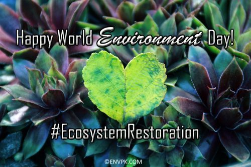 Happy-World-Environment-Day-2021-Ecosystem-Restoration-Display-Pictures-Wallpapers