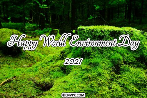 Happy-World-Environment-Day-2021-Ecosystem-Restoration-Display-Pictures-Wallpapers