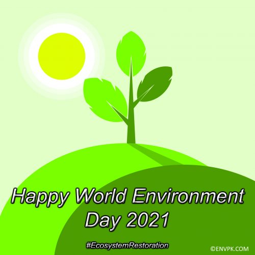 Happy-World-Environment-Day-2021-Ecosystem-Restoration-Display-Pictures-Wallpapers