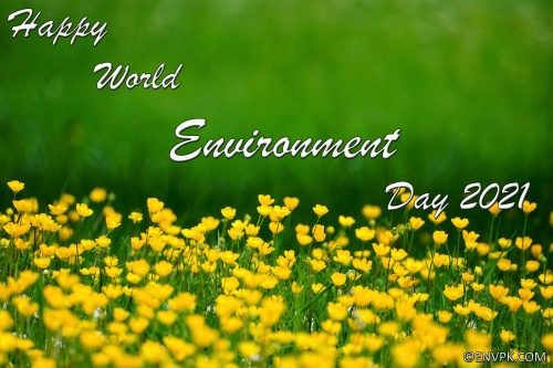 Happy-World-Environment-Day-2021-Ecosystem-Restoration-Display-Pictures-Wallpapers