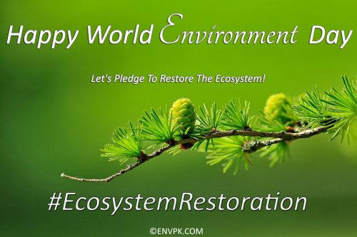 Happy-World-Environment-Day-2021-Ecosystem-Restoration-Display-Pictures-Wallpapers