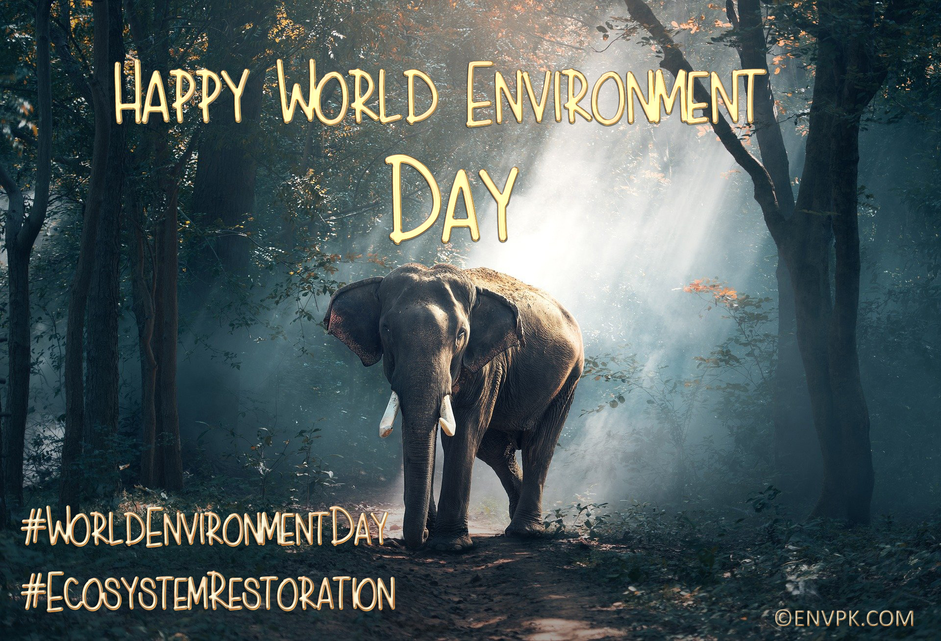 Happy World Environment Day 2021 Display Picture Wallpapers