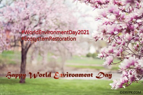 World-Environment-Day-2021-EcoSystem-Restoration-Pictures-Wallpapers