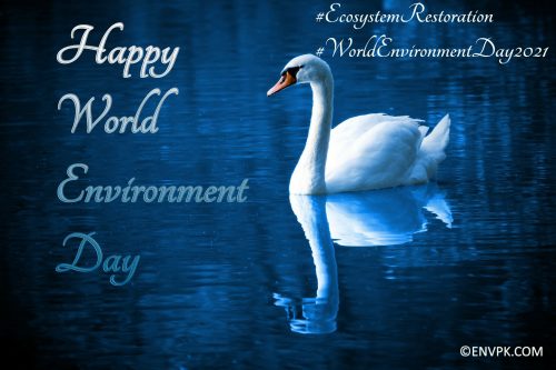 World-Environment-Day-2021-EcoSystem-Restoration-Pictures-Wallpapers