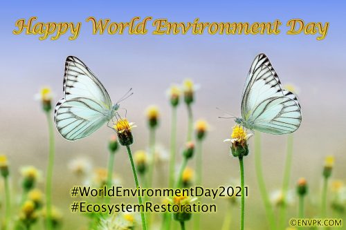 World-Environment-Day-2021-EcoSystem-Restoration-Pictures-Wallpapers