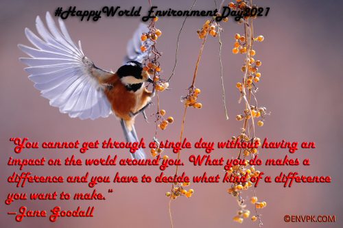 10 Beautiful World Environment Day 2021 Pictures Quotes