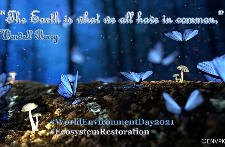 10 Beautiful World Environment Day 2021 Pictures Quotes