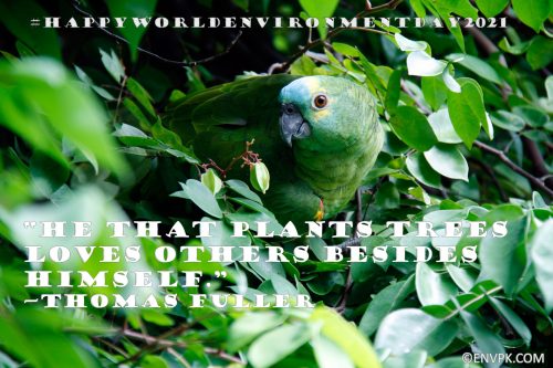 10 Beautiful World Environment Day 2021 Pictures Quotes