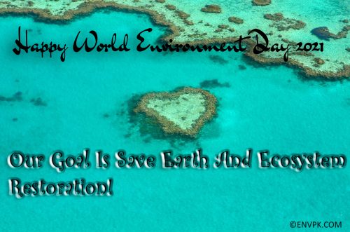 10 Beautiful World Environment Day 2021 Pictures Quotes