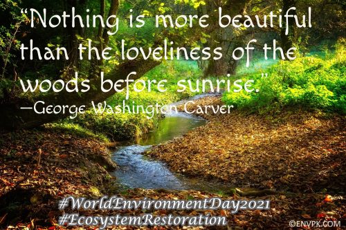 10 Beautiful World Environment Day 2021 Pictures Quotes