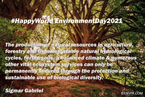 10 Beautiful World Environment Day 2021 Pictures Quotes