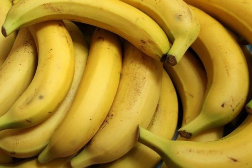 banana are decreasing due to panama disease