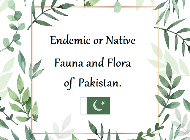 Endemic-Native-Fauna-and-Flora-of-Pakistan