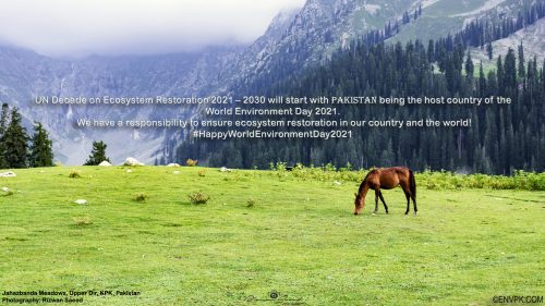 Happy-World-Environment-Day-2021-Theme-Ecosystem-Restoration-Host-Country-Pakistan-Wallpaper-Display-Picture