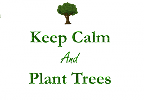 Environmental Slogan Pictures Quotes