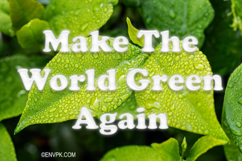 Environmental Slogan Pictures Quotes