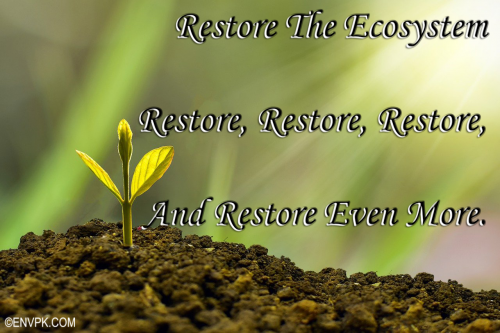 Environmental Slogan Pictures Quotes