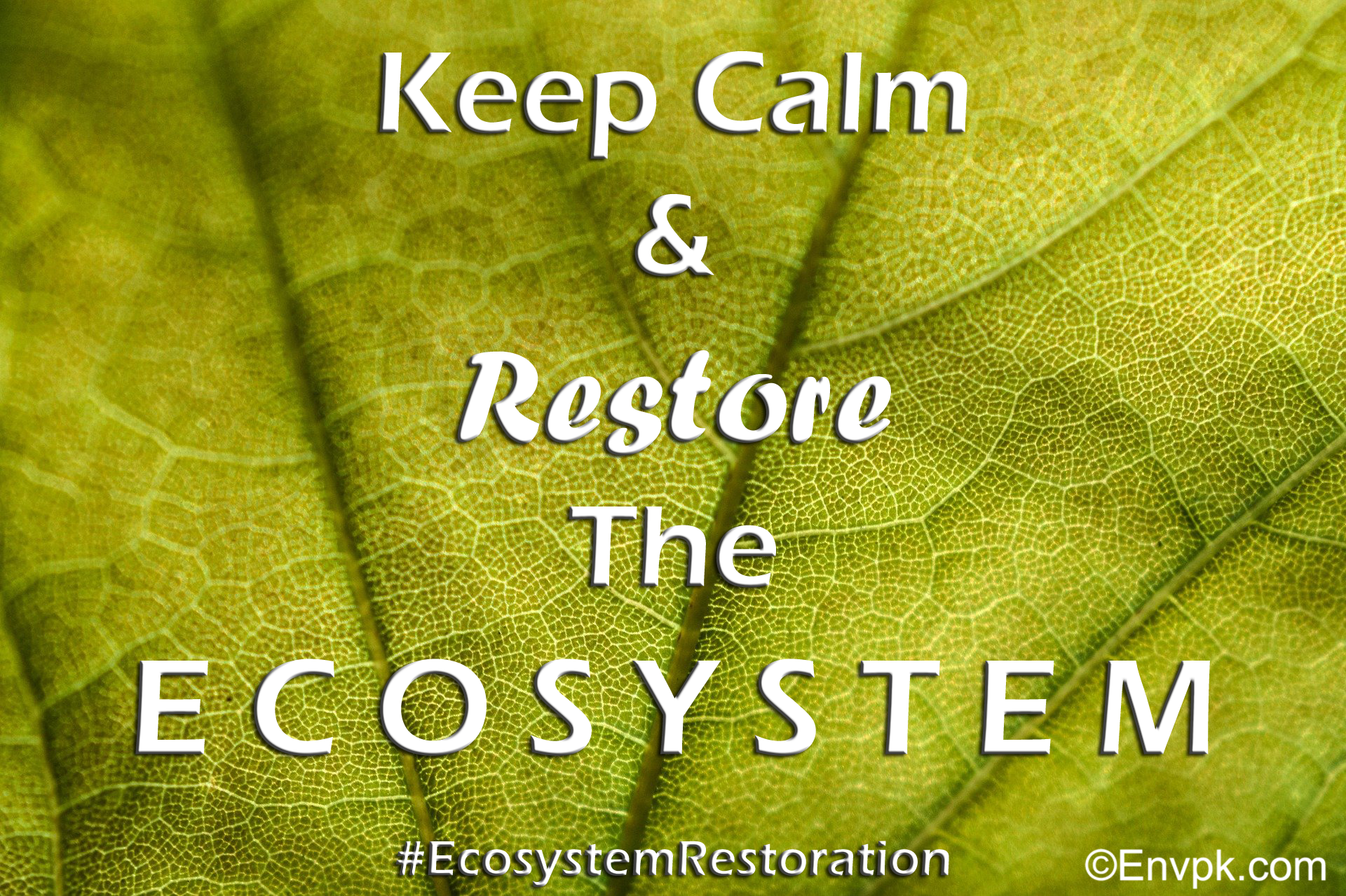 20 Environmental and Ecosystem Restoration Slogans Pictures