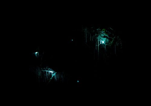 glow worms and river system