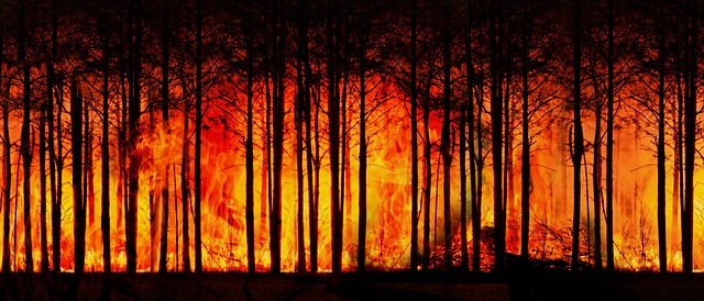wildfires are burning the World