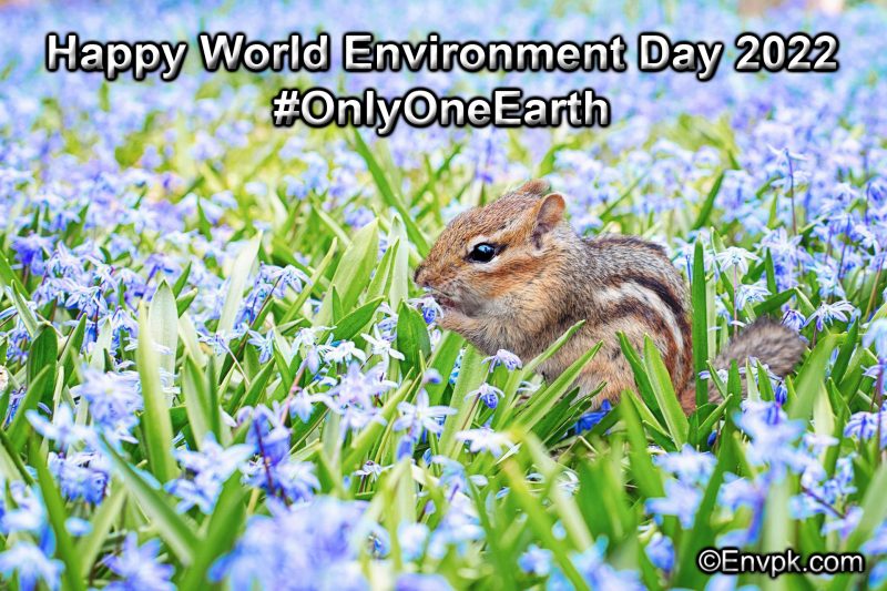 Happy-World-Environment-Day-2022-Wish-Greeting-Pictures-Whatsapp-Status-Facebook