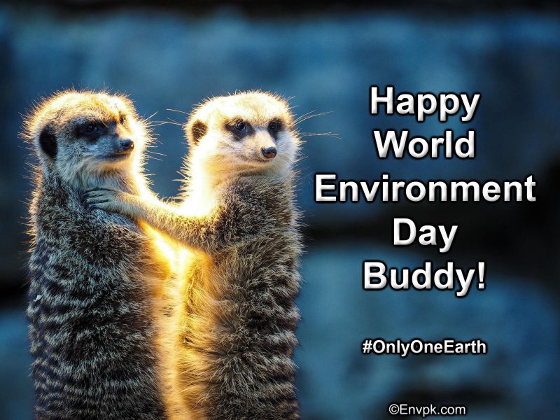 Happy-World-Environment-Day-2022-Wish-Greeting-Pictures-Whatsapp-Status-Facebook