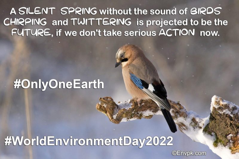 World-Environment-Day-2022 -Slogan-Wallpaper-Display-Picture-Poster