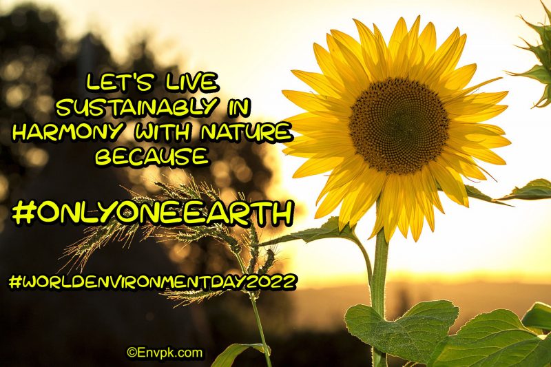 World-Environment-Day-2022 -Slogan-Wallpaper-Display-Picture-Poster