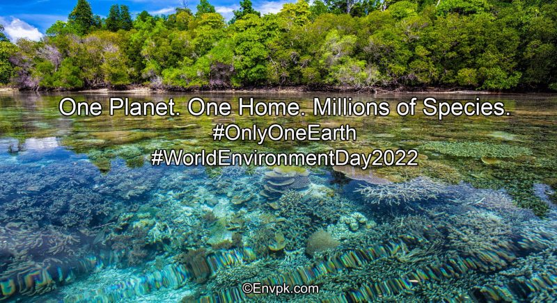 World-Environment-Day-2022 -Slogan-Wallpaper-Display-Picture-Poster