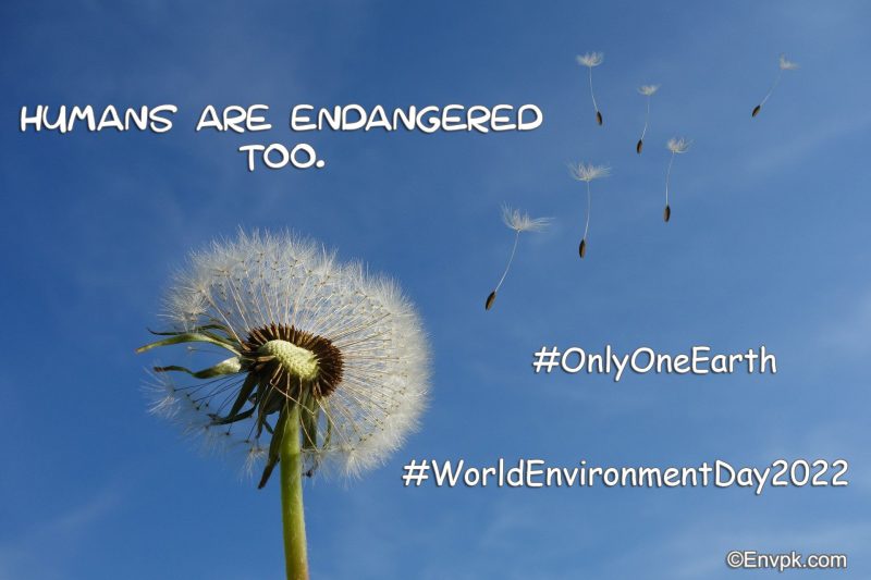 World-Environment-Day-2022 -Slogan-Wallpaper-Display-Picture-Poster