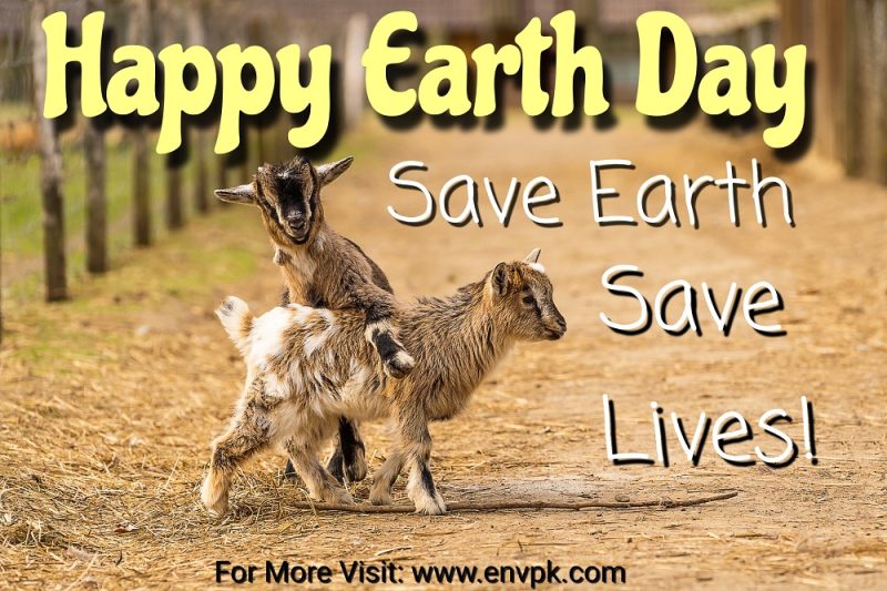 Earth Day 2023 - pictures -wishes - quotes - greetings