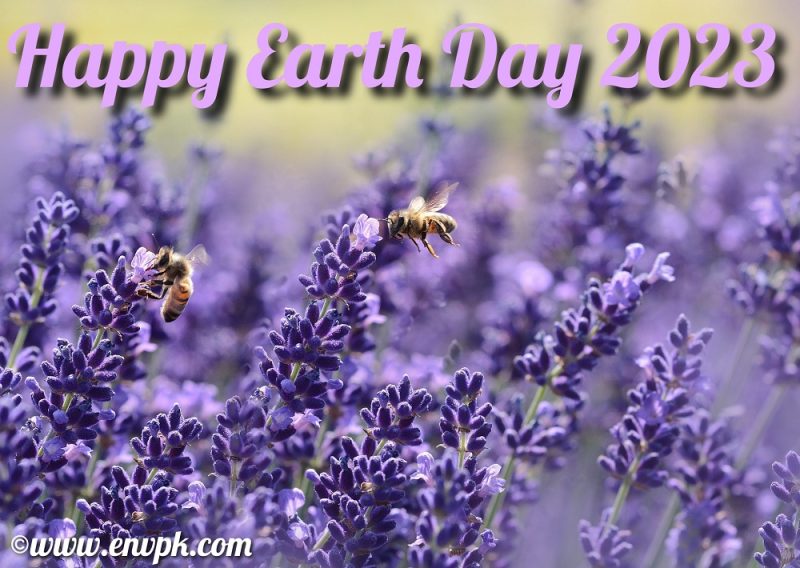 Earth Day 2023 - pictures -wishes - quotes - greetings