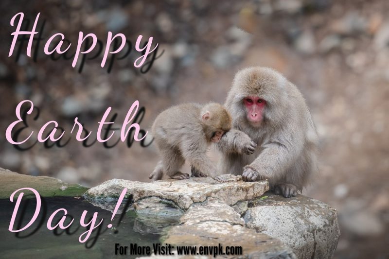 Earth Day 2023 - pictures -wishes - quotes - greetings