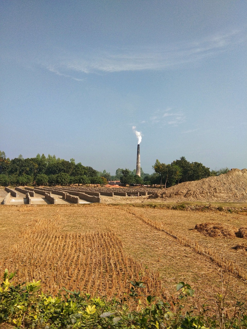 Environmental Effects of Brick Kiln Industry In Pakistan